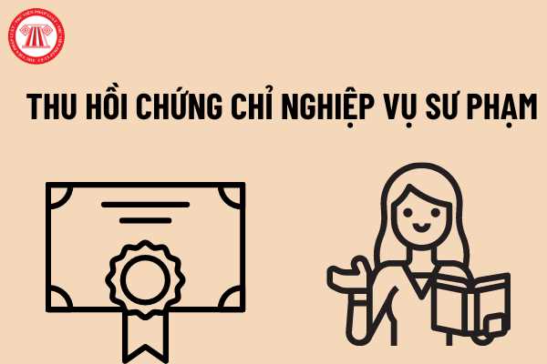 Thu hồi chứng chỉ nghiệp vụ sư phạm