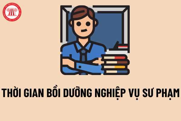 Thời gian bồi dưỡng nghiệp vụ sư phạm