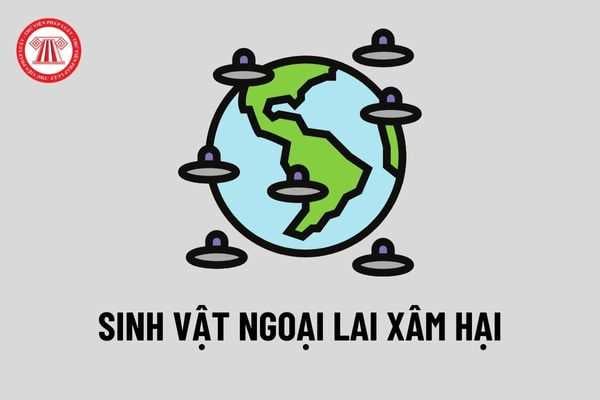 Hành vi nhập khẩu vi sinh vật ngoại lai xâm hại có thể bị phạt hành chính lên tới 400 triệu từ ngày 25/8/2022?