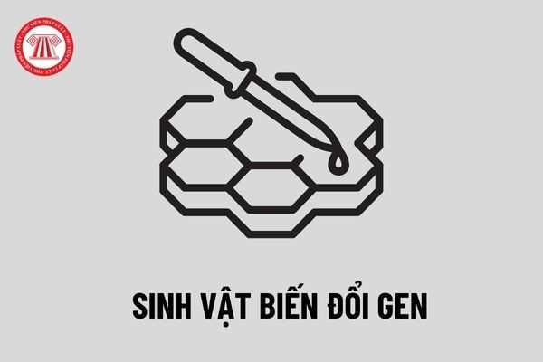 Mức xử phạt đối với hành vi vi phạm về sinh vật biến đổi gen, sản phẩm của sinh vật biến đổi gen, khảo nghiệm sinh vật biến đổi gen?