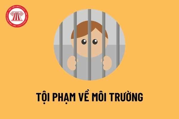 Một vụ vi phạm có dấu hiệu tội phạm về môi trường có được chuyển qua truy cứu trách nhiệm hình sự không?