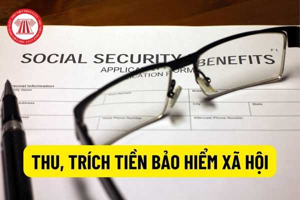 Quy định về nộp hồ sơ thu, trích nộp tiền bảo hiểm xã hội đảm bảo quyền lợi cho người tham gia tại TP. Hồ Chí Minh?