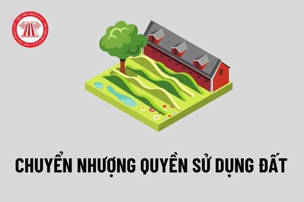 Những trường hợp nào không được nhận chuyển nhượng quyền sử dụng đất? Hồ sơ, thủ tục chuyển nhượng quyền sử dụng đất được thực hiện như thế nào?