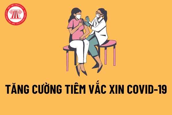 Tăng cường tiếp nhận và triển khai tiêm vắc xin phòng COVID-19 trên địa bàn cả nước phân bổ đợt 146, 147?