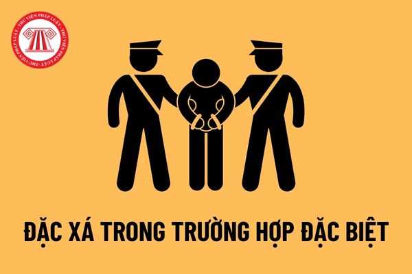 Trình tự, thủ tục lập hồ sơ đề nghị đặc xá trong trường hợp đặc biệt năm 2022? Quy định về người được đặc xá trong trường hợp đặc biệt?