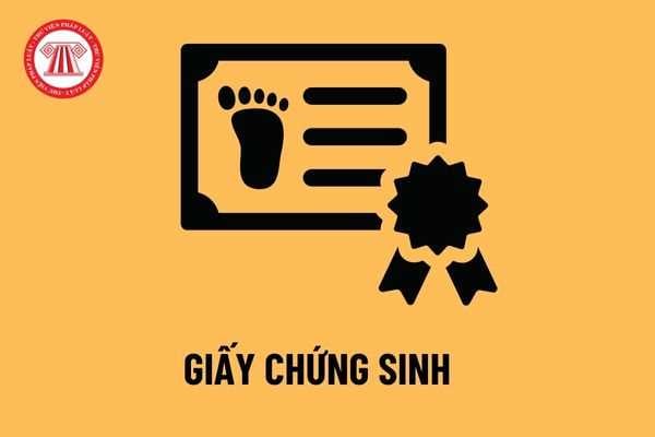 Thế nào là giấy chứng sinh? Thủ tục cấp giấy chứng sinh được quy định như thế nào? Giấy chứng sinh quan trọng ra sao?