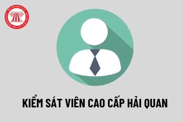 Kiểm sát viên cao cấp hải quan: Cần phải có kỹ năng sử dụng công nghệ thông tin cơ bản và sử dụng được ngoại ngữ theo quy định mới nhất?