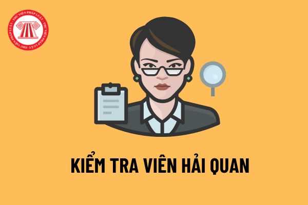 Kiểm tra viên hải quan: Người đang giữ ngạch nhân viên hải quan sẽ không được dự thi nâng ngạch Kiểm tra viên hải quan từ ngày 18/07/2022?