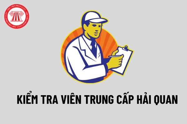 Kiểm tra viên trung cấp hải quan không cần đến chứng chỉ chương trình bồi dưỡng ngạch kiểm tra viên trung cấp hải quan từ ngày 18/07/2022?