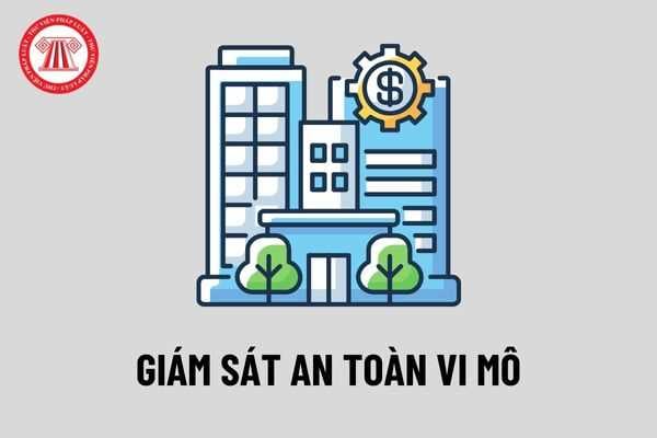 Mẫu báo cáo giám sát an toàn vi mô đối với tổ chức tín dụng, chi nhánh ngân hàng nước ngoài năm 2022?