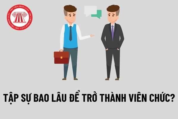 Trình độ đại học phải tập sự bao lâu để trở thành viên chức? Quy định việc bổ nhiệm vào chức danh nghề nghiệp viên chức đối với người tập sự sau khi hết thời gian tập sự?