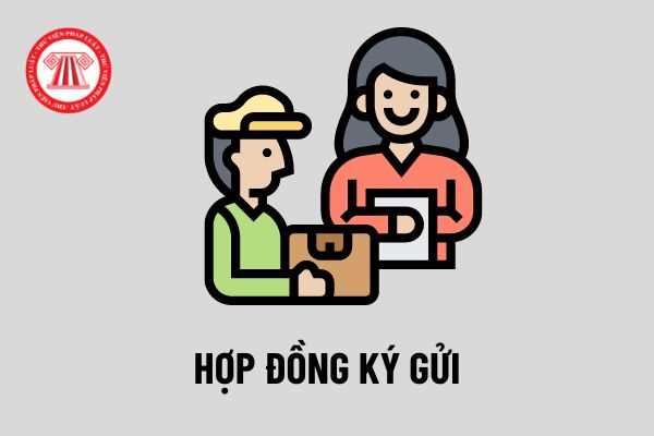 Ở Việt Nam, người ta sử dụng từ guu trong những hoàn cảnh nào?