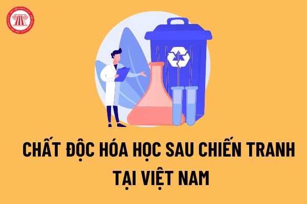 Quy định về hoạt động tổ chức thực hiện Chăm sóc sức khỏe đối với các nạn nhân chịu ảnh hưởng chất độc hóa học/dioxin sau chiến tranh ở Việt Nam tại từng vùng?