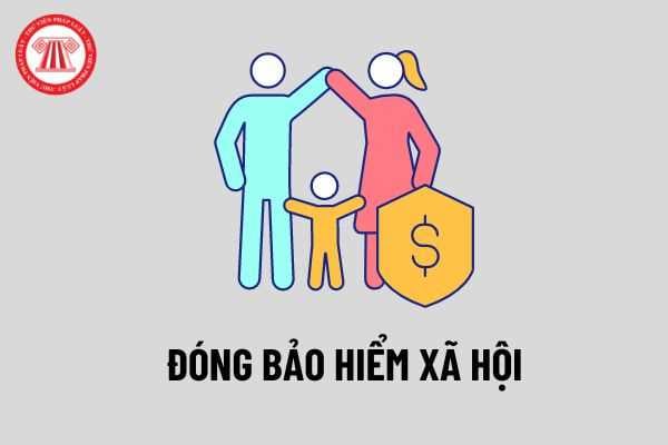 Trình tự thực hiện việc đóng bảo hiểm xã hội, bảo hiểm y tế, bảo hiểm tai nạn, bảo hiểm tai nạn lao động, bệnh nghề nghiệp?