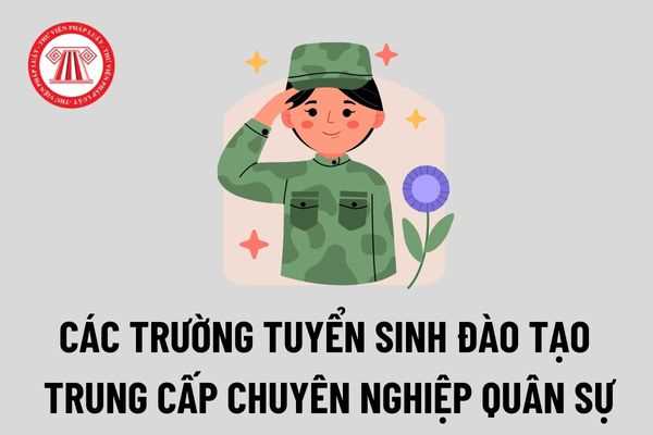 Trường Cao đẳng Công nghệ và Kỹ thuật ô tô không còn tuyển sinh đào tạo trung cấp chuyên nghiệp quân sự hệ chính quy từ năm 2022?