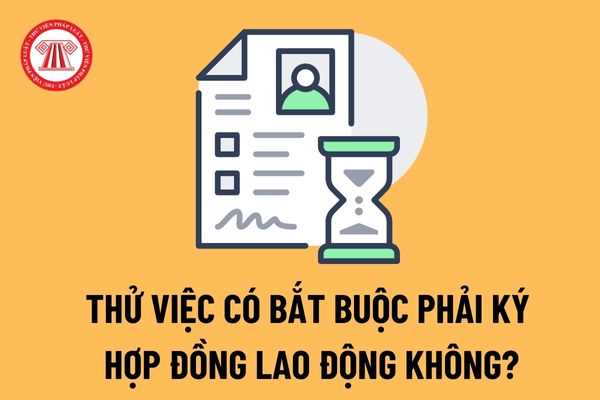 Thử việc có bắt buộc phải ký hợp đồng không? Thỏa thuận thử việc nhưng không ký hợp đồng có trái pháp luật không?