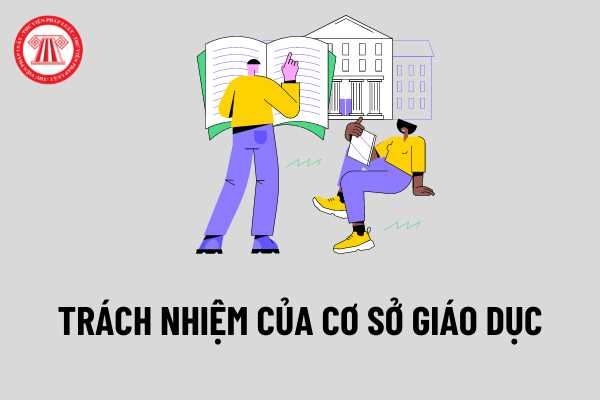 Cơ sở giáo dục phổ thông và cơ sở giáo dục đại học có trách nhiệm gì trong công tác tư vấn nghề nghiệp, việc làm và hỗ trợ khởi nghiệp?