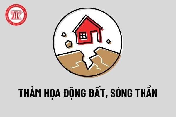 Thảm họa động đất, sóng thần