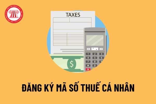 Mã số thuế cá nhân là gì? Hướng dẫn cách tra cứu và đăng ký mã số ...