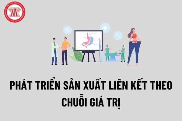 Thu nhập hàng trăm triệu đồng nhờ tham gia các mô hình liên kết sản xuất