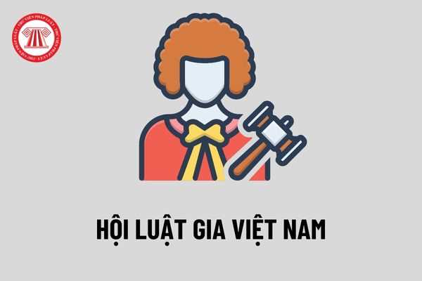 Hướng dẫn các cấp uỷ, tổ chức đảng tăng cường sự lãnh đạo của Đảng đối với Hội Luật gia Việt Nam trong tình hình mới?