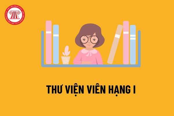 Thư viện viên hạng I phải đáp ứng những tiêu chuẩn trình độ đào tạo, bồi dưỡng và tiêu chuẩn năng lực chuyên môn, nghiệp vụ như thế nào?