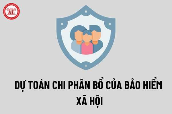 Dự toán chi phân bổ của bảo hiểm xã hội Việt Nam năm 2022 theo Quyết định 1236/QĐ-BHXH?