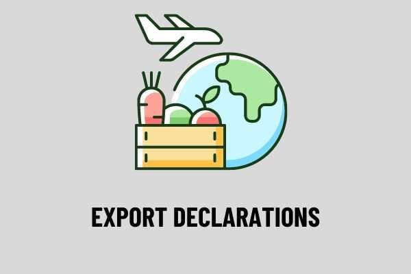 How to guide the handling of export declarations on the spot without on-spot import declarations in Vietnam before April 25, 2021?