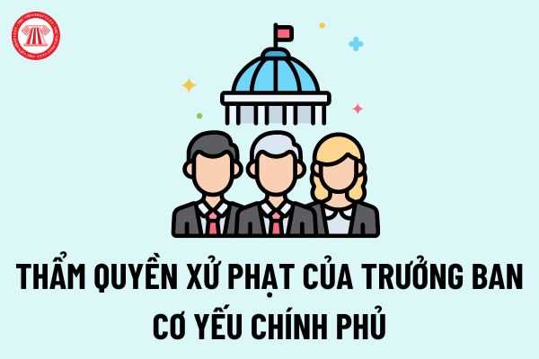 Thẩm quyền xử phạt của Trưởng Ban Cơ yếu Chính phủ và thủ tục xử phạt, thi hành quyết định xử phạt và biện pháp khắc phục hậu quả theo quy định mới nhất?