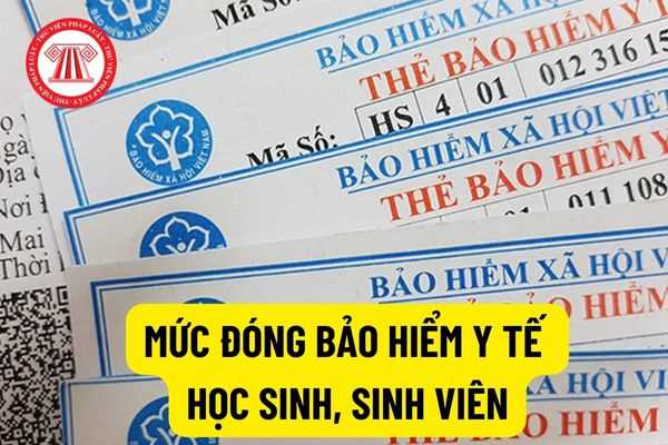 TP. Hồ Chí Minh năm học 2022 - 2023: Mức đóng bảo hiểm y tế học sinh, sinh viên là bao nhiêu?