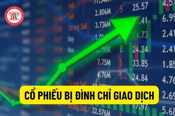 Những trường hợp nào cổ phiếu bị đình chỉ giao dịch? Khi nào cổ phiếu bị đình chỉ được giao dịch trở lại?