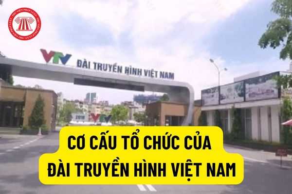 20 nhiệm vụ, quyền hạn của Đài Truyền hình Việt Nam? Cơ cấu tổ chức của Đài Truyền hình Việt Nam như thế nào?