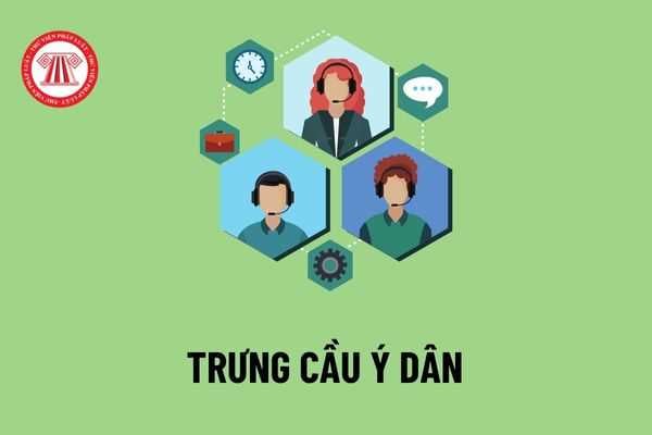 Thế nào là trưng cầu ý dân? Người nào được bỏ phiếu trưng cầu ý dân và các trường hợp nào không tổ chức trưng cầu ý dân?