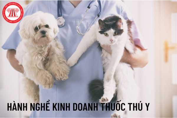 Lĩnh vực nghiên cứu trong chăn nuôi thú y là gì?