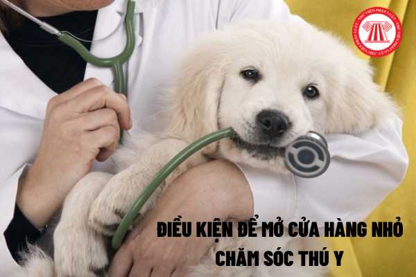 Thủ tục hành chính xin cấp giấy phép