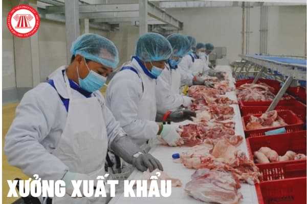 Xưởng xuất khẩu