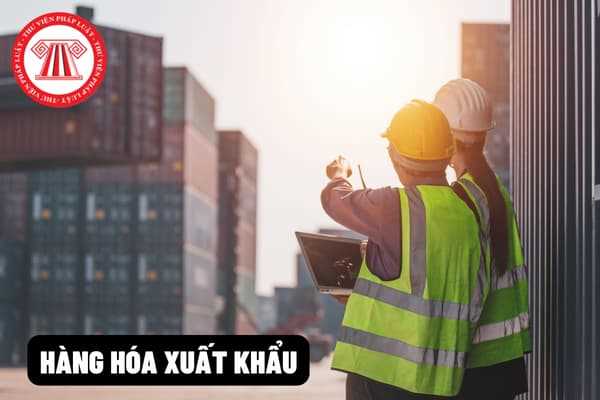 Hình thức kinh doanh nào có thể sử dụng sản xuất hàng xuất khẩu?