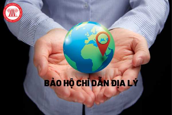 Bảo hộ chỉ dẫn địa lý