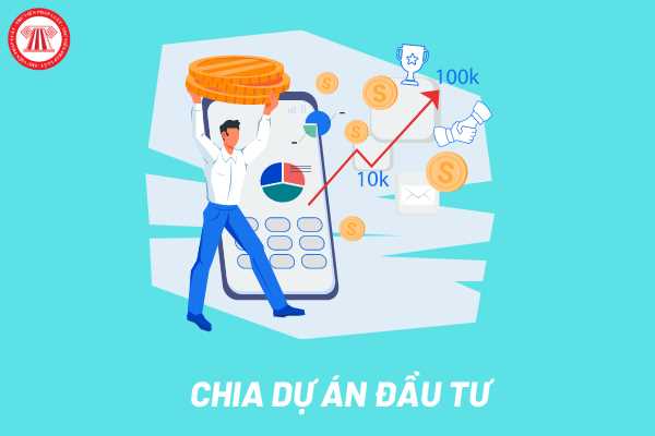 Chia dự án đầu tư