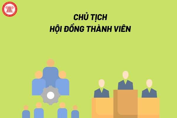 Chủ tịch Hội đồng thành viên trong Công ty Trách nhiệm hữu hạn hai thành viên