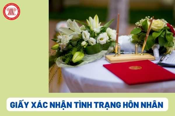 Tình trạng hôn nhân