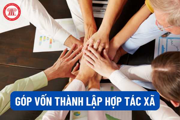 Hợp tác xã