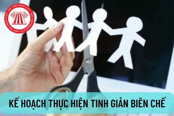 Kế hoạch thực hiện tinh giản biên chế, cơ cấu lại đội ngũ cán bộ, công chức, viên chức năm 2022?