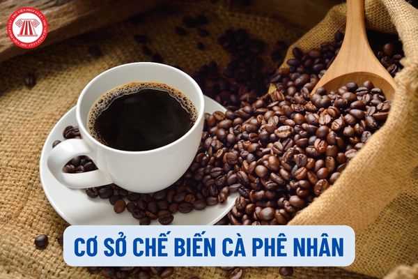 Cơ sở chế biến cà phê