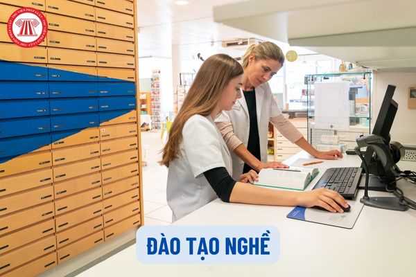 Đào tạo nghề