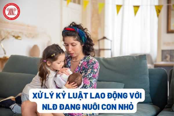 Kỷ luật lao động