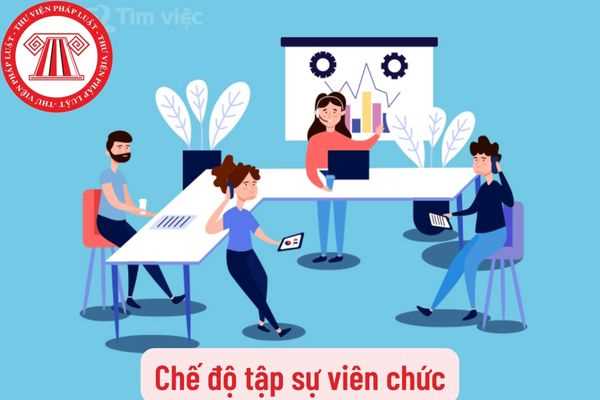 Chế độ tập sự