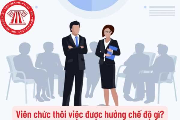 Viên chức thôi việc được hưởng chế độ gì?