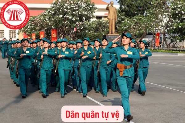 Dân quân tự vệ