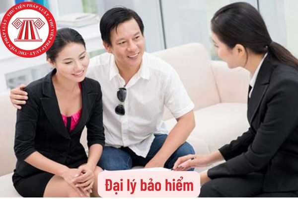  Đại lý bảo hiểm